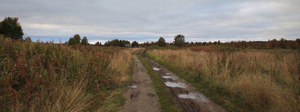 старая дорога