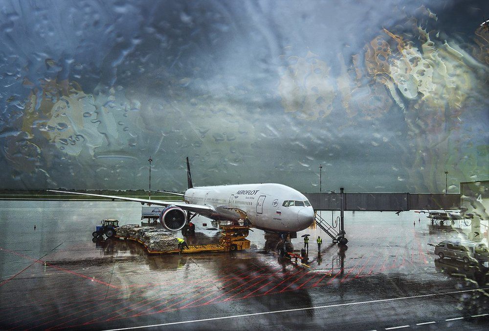 Возвращение домой