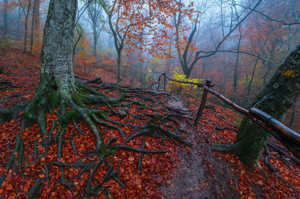 Осенние фактуры