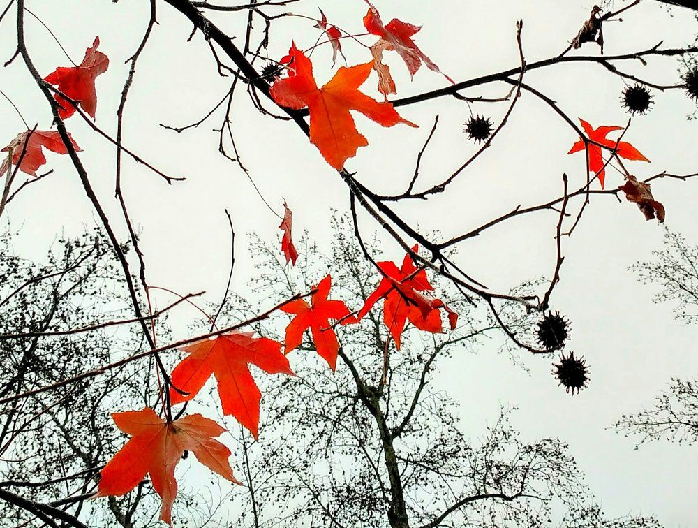 Фотография автора Эльмира Фатихова