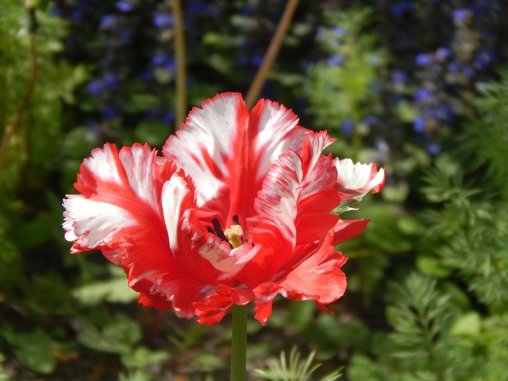 Photograph by Алена