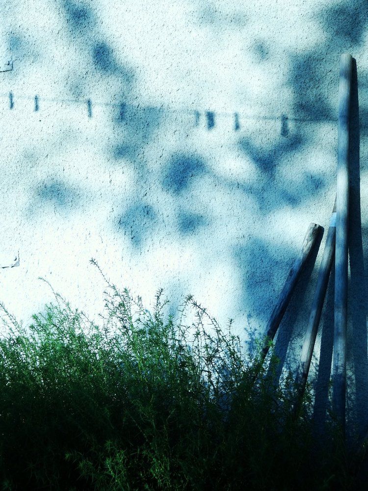 Photograph by Стефанова Татьяна