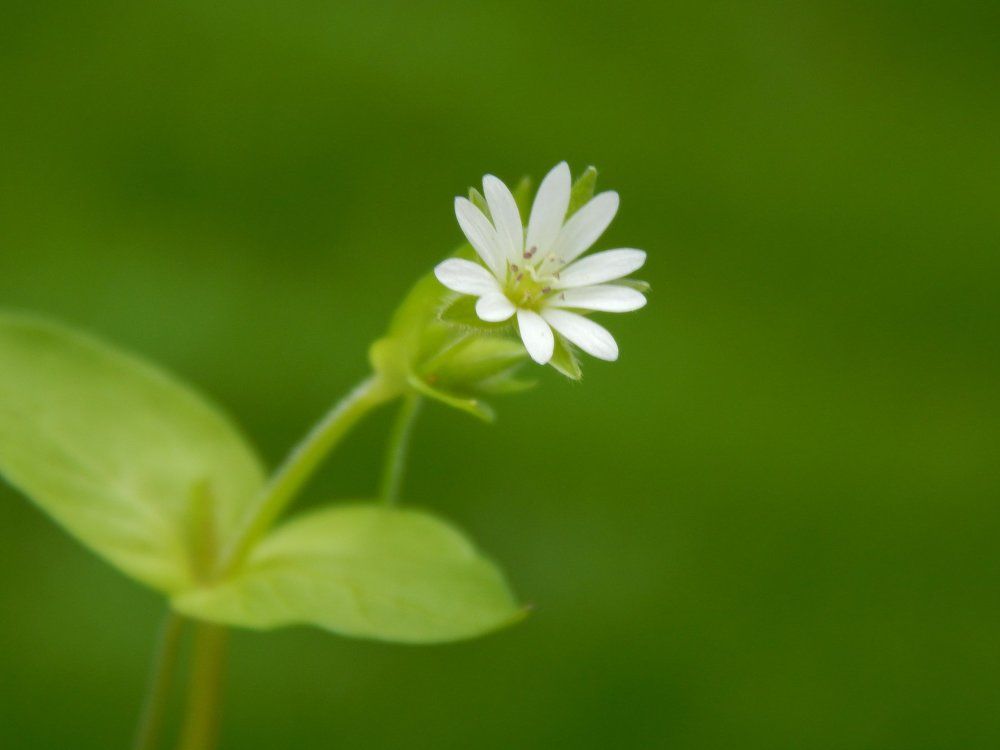 Photograph by Алена