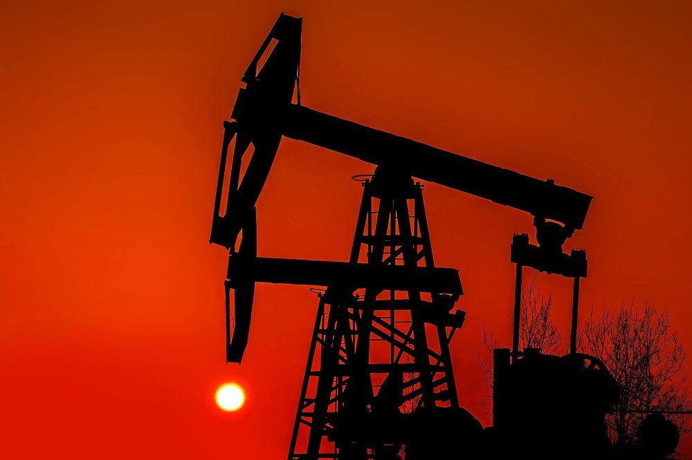 Солнцепоклонники