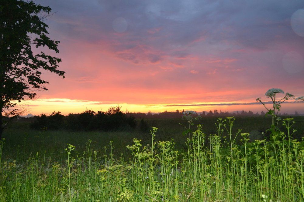 Photograph by Игорь Лебедев