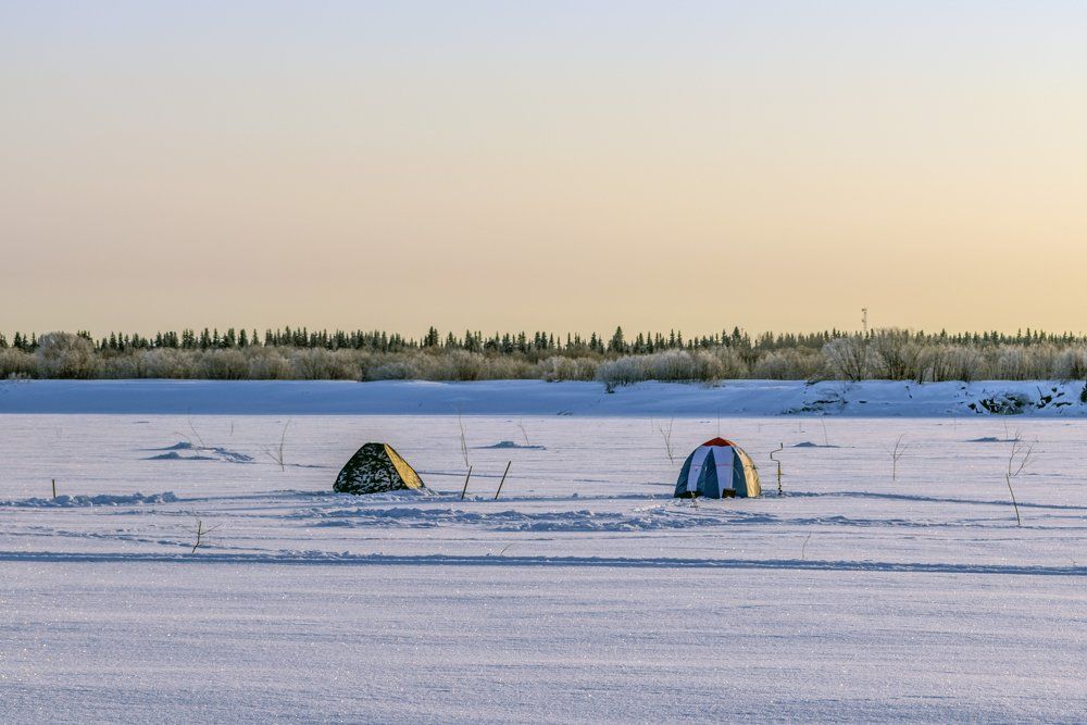Рыбатские "зонтики"...