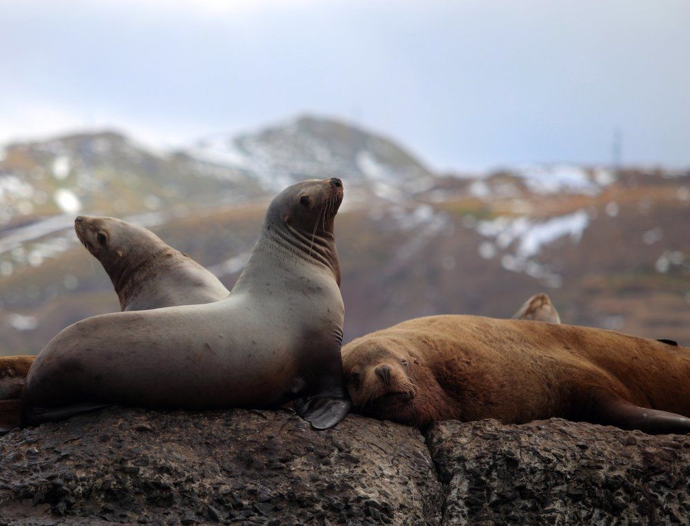 Photograph by Аксиния Ступина