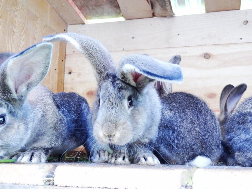 Photograph by Стефанова Татьяна