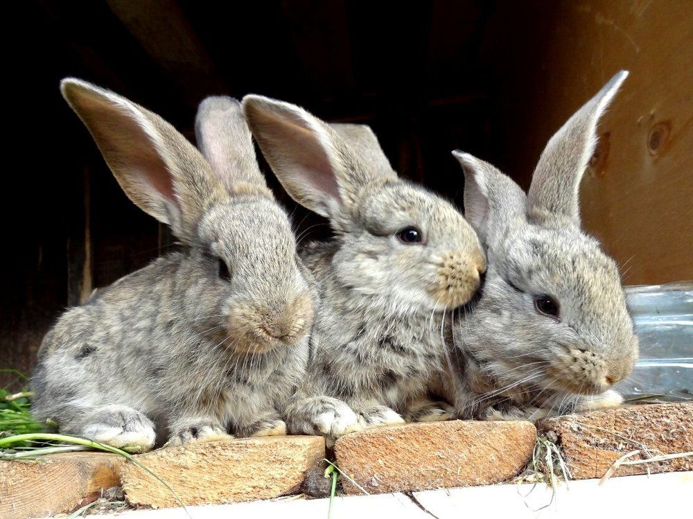 Photograph by Стефанова Татьяна