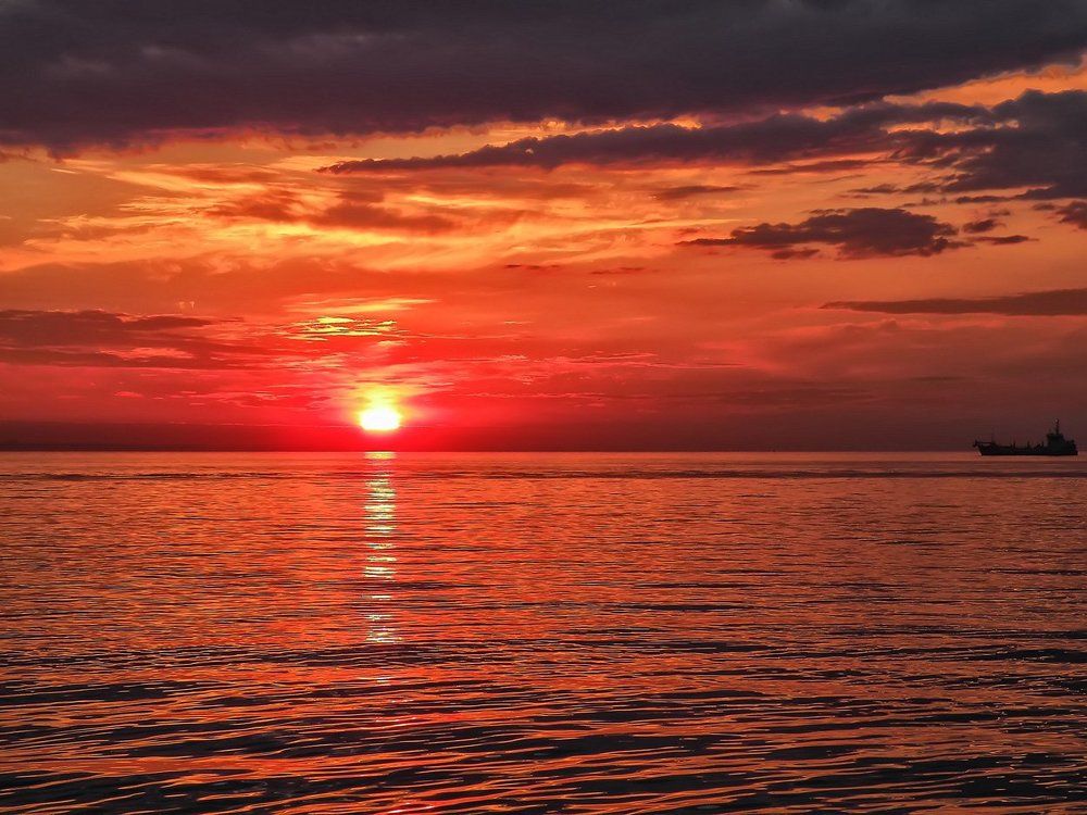 Photograph by Дмитрий Степанов