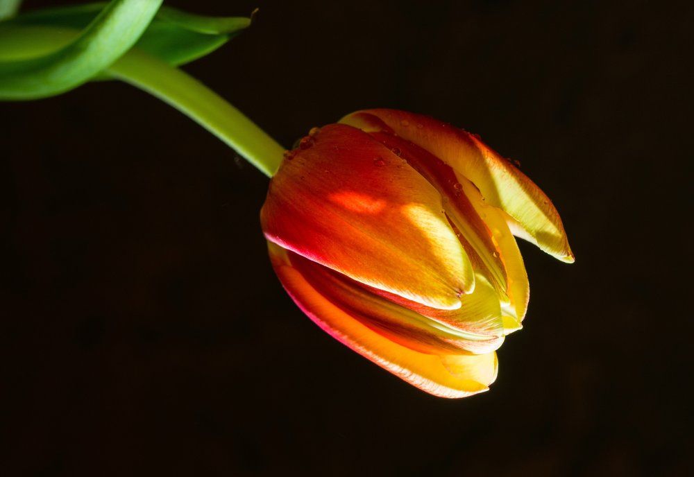 Photograph by Галина