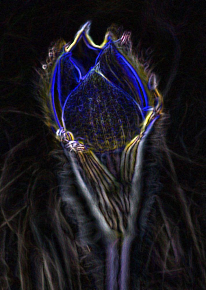 Photograph by Галина