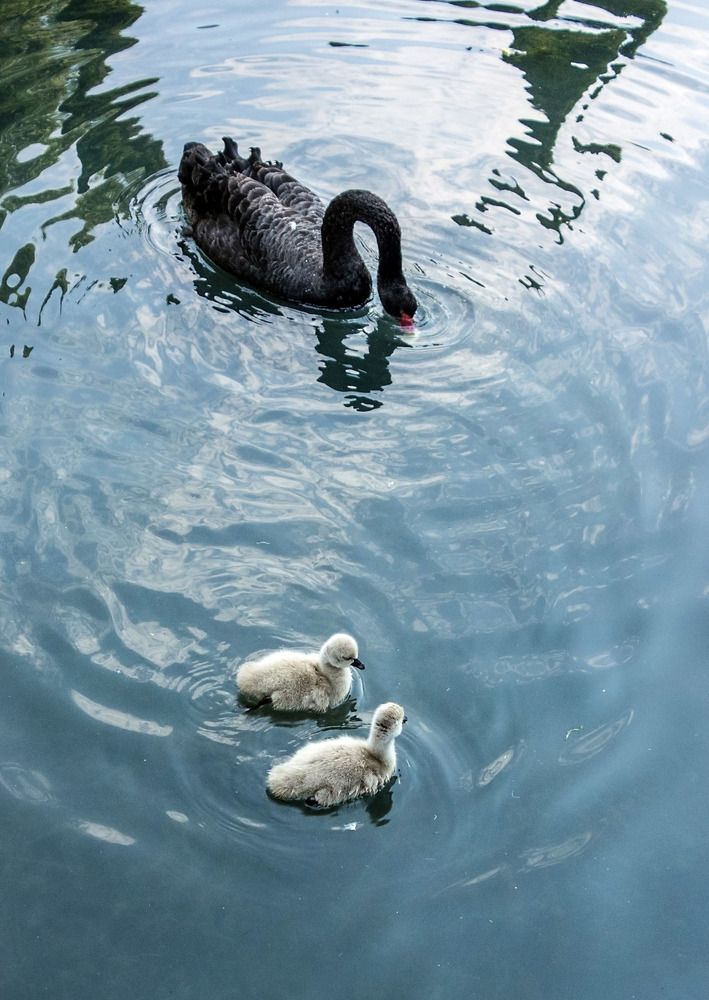 Photograph by Галина