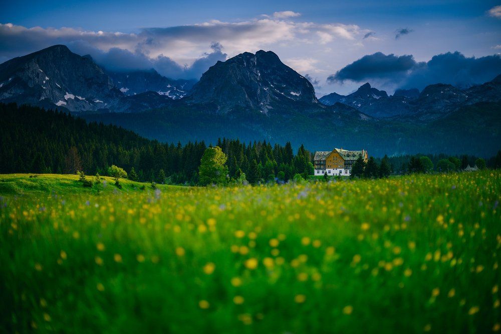 Отель у подножия гор.