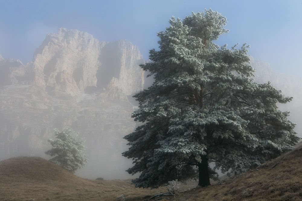 Прохладное утро в горах Ингушетии.