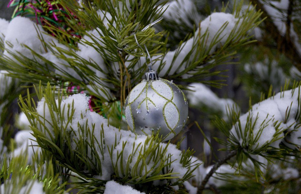 Фотография автора тимакова  нина