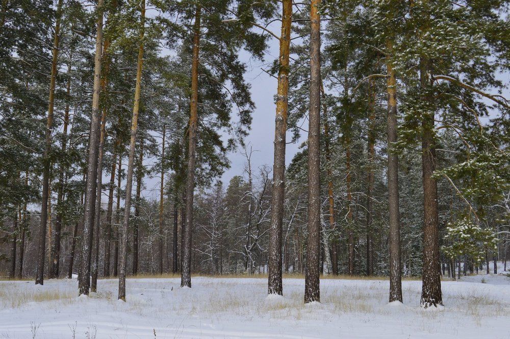 Фотография автора тимакова  нина