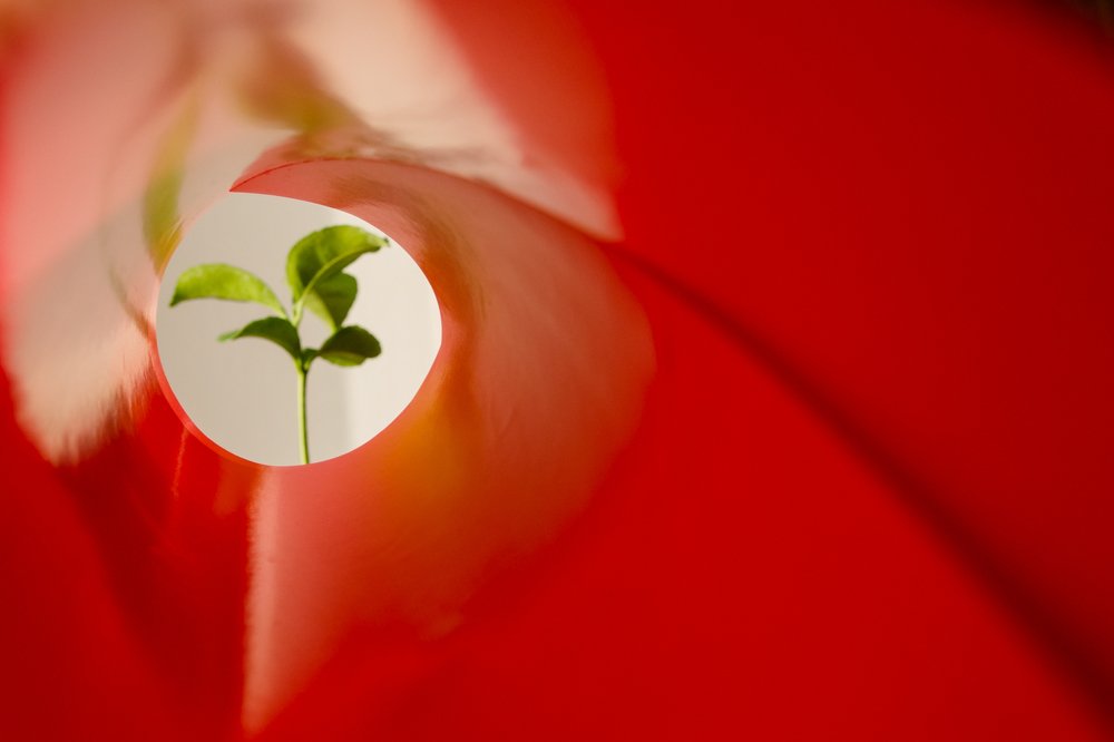 Photograph by Пивоварова Екатерина