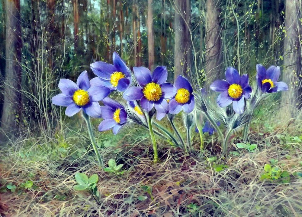 Photograph by Вячеслав Розмин