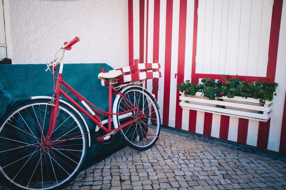 Photograph by Марина Ганина