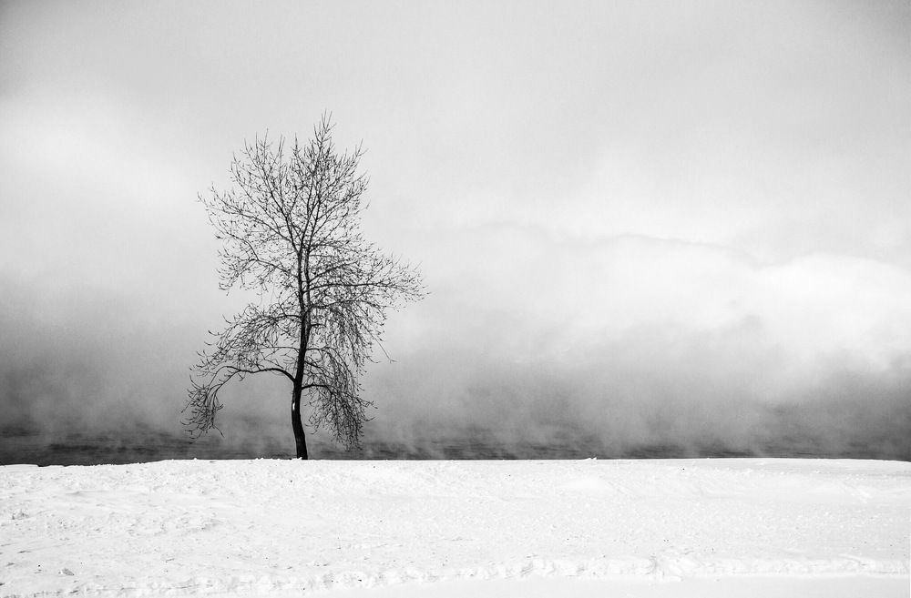 Минимализм