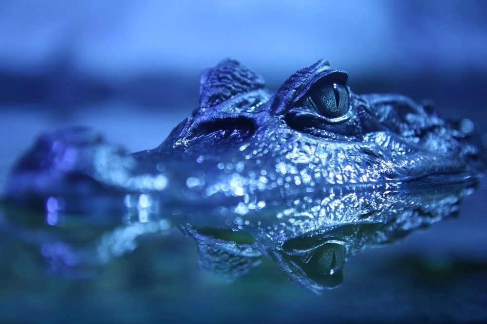 Photograph by Марина Ганина