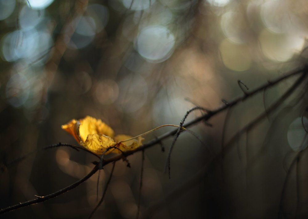 Жизнь после...лета