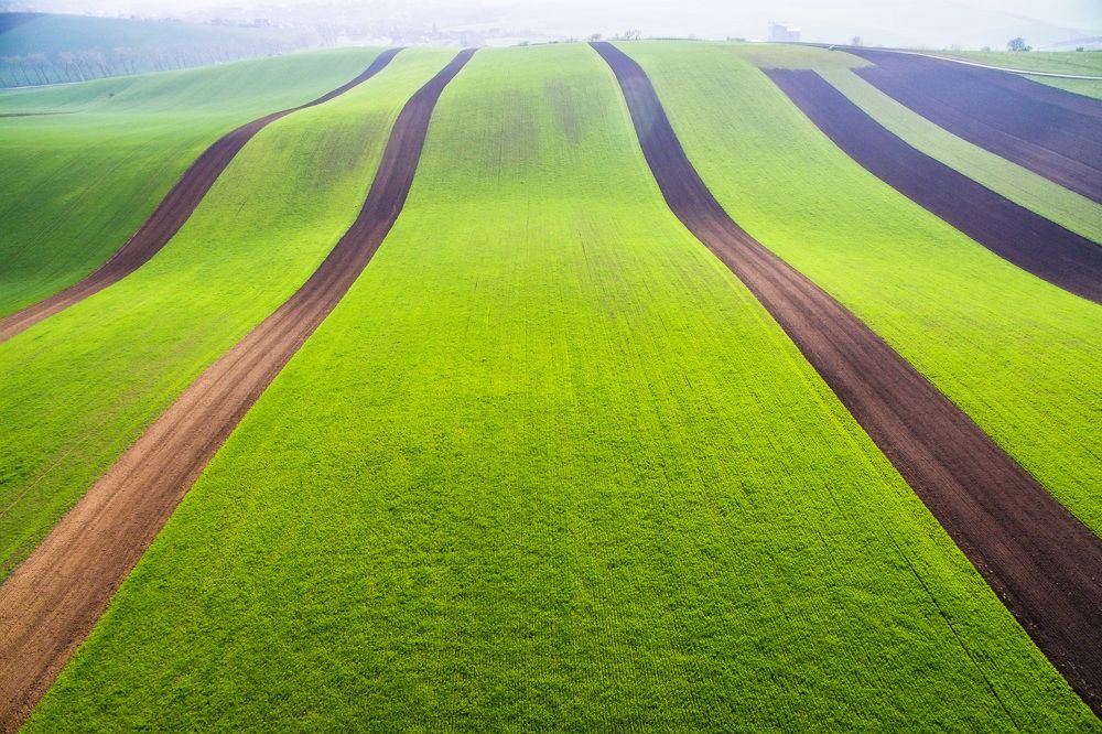Моравский ковер