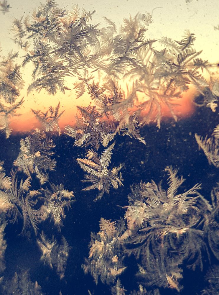 Photograph by Роман