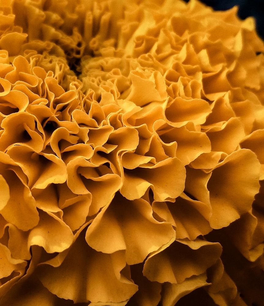 IT TAKES COURAGE TO GROW UP AND BECOME WHO YOU REALLY ARE