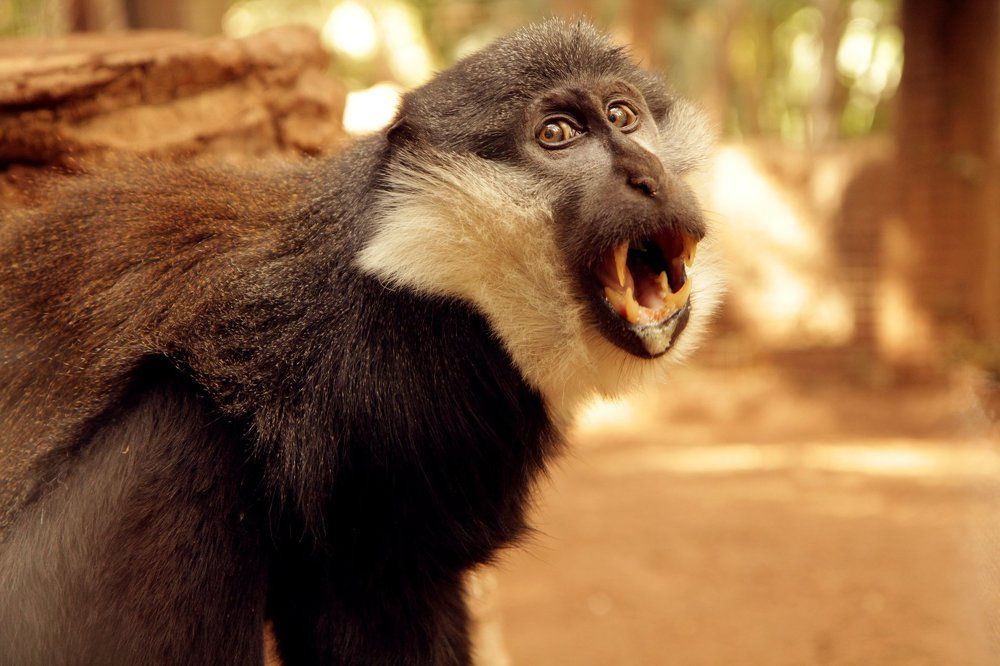 Photograph by Марина Ганина