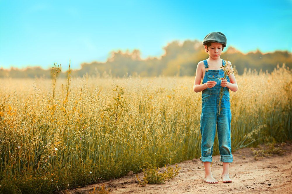 Полевая история