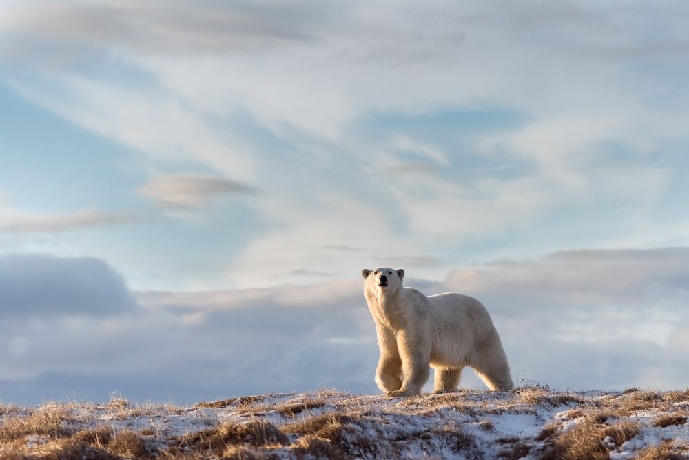 Однажды утром