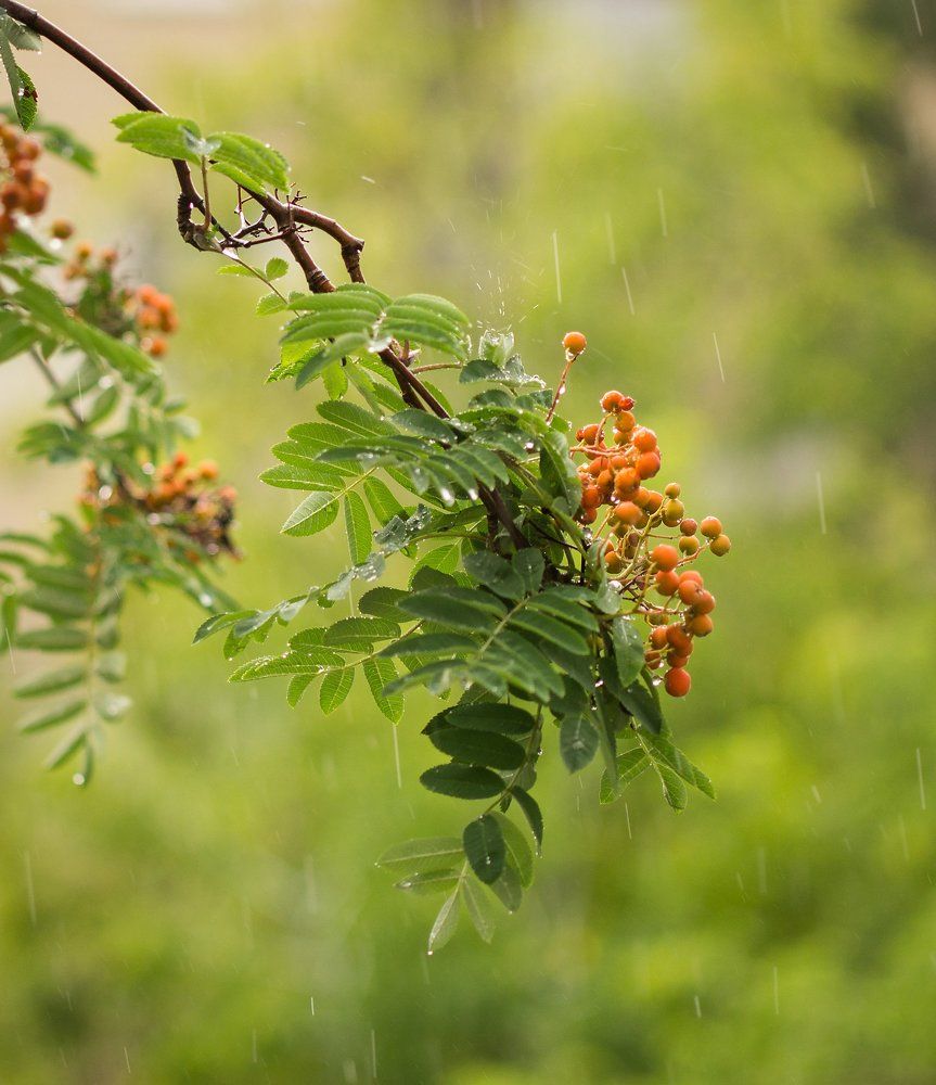Photograph by Виктор Петров