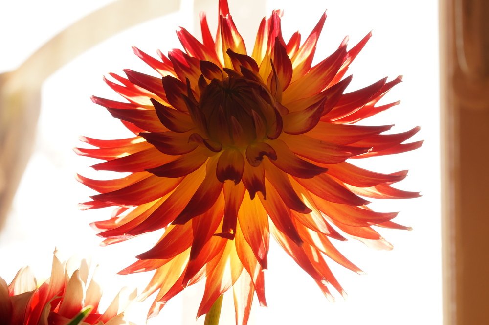 Photograph by Виктор Петров