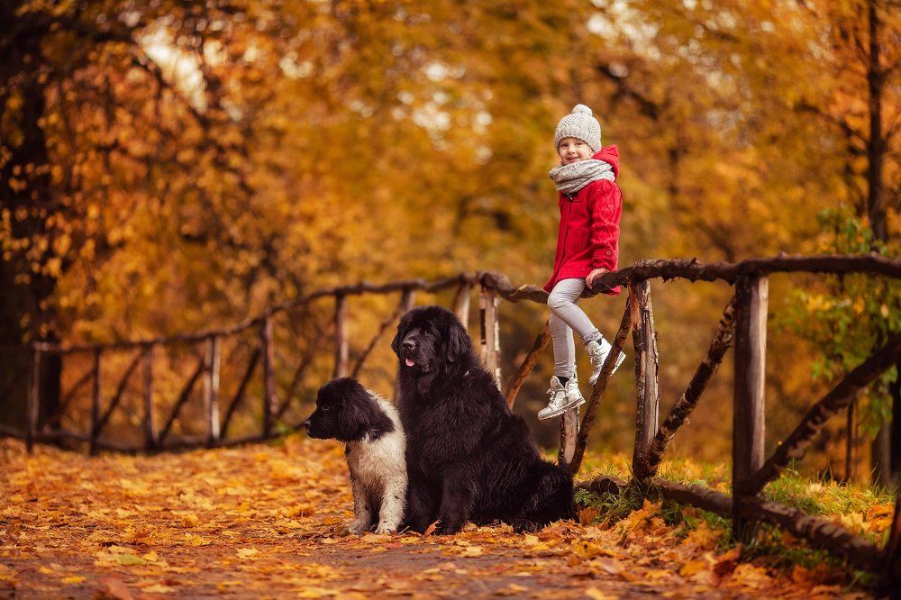 Веселая встреча