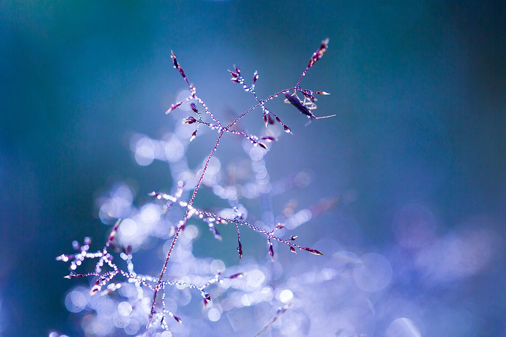 Фотография автора Helena