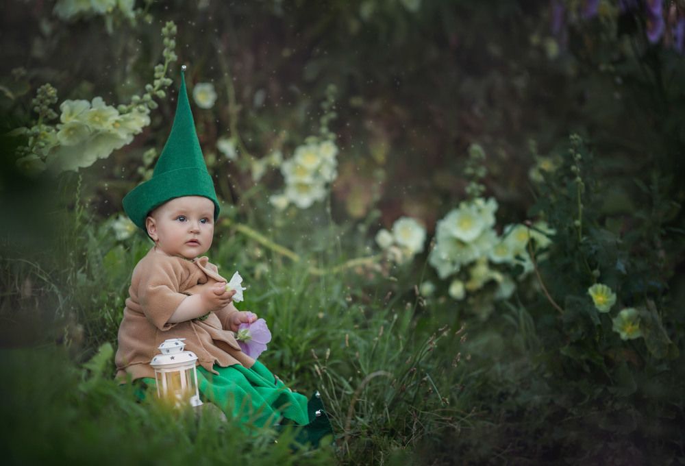 Маленький гномик