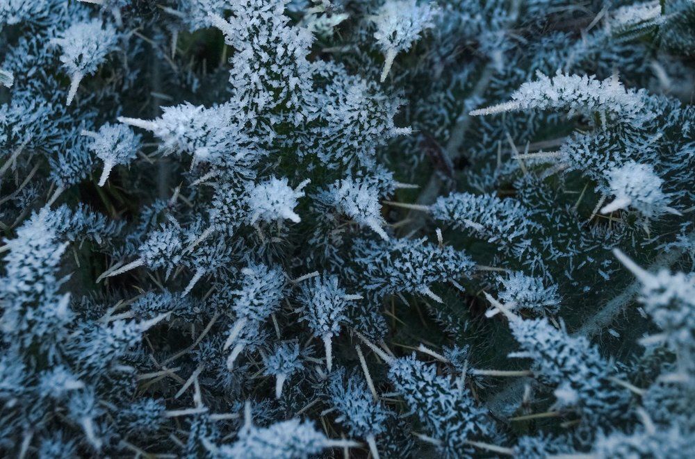 Photograph by Ася Кострова