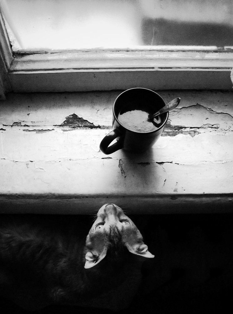 "Our Morning"