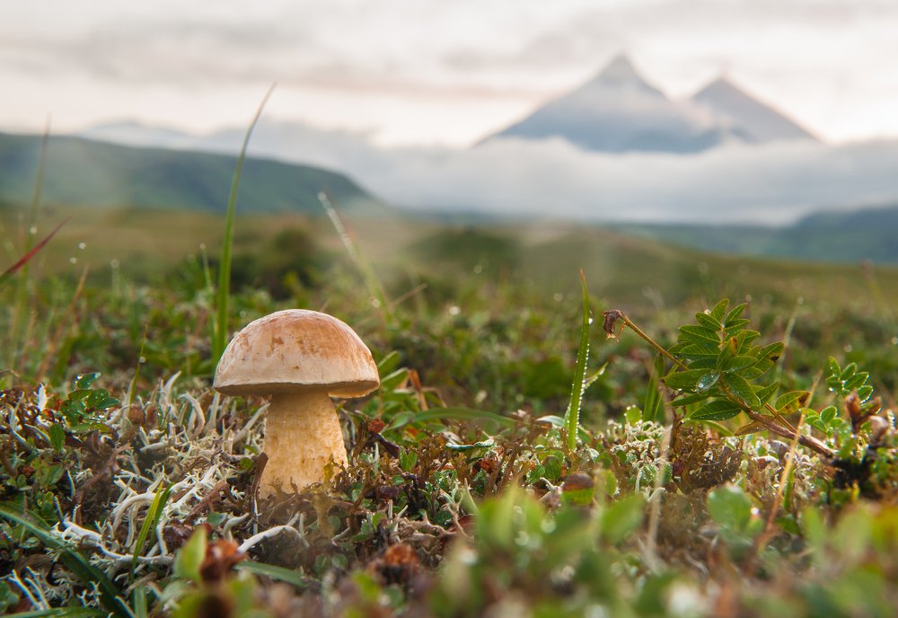 Одиночество...