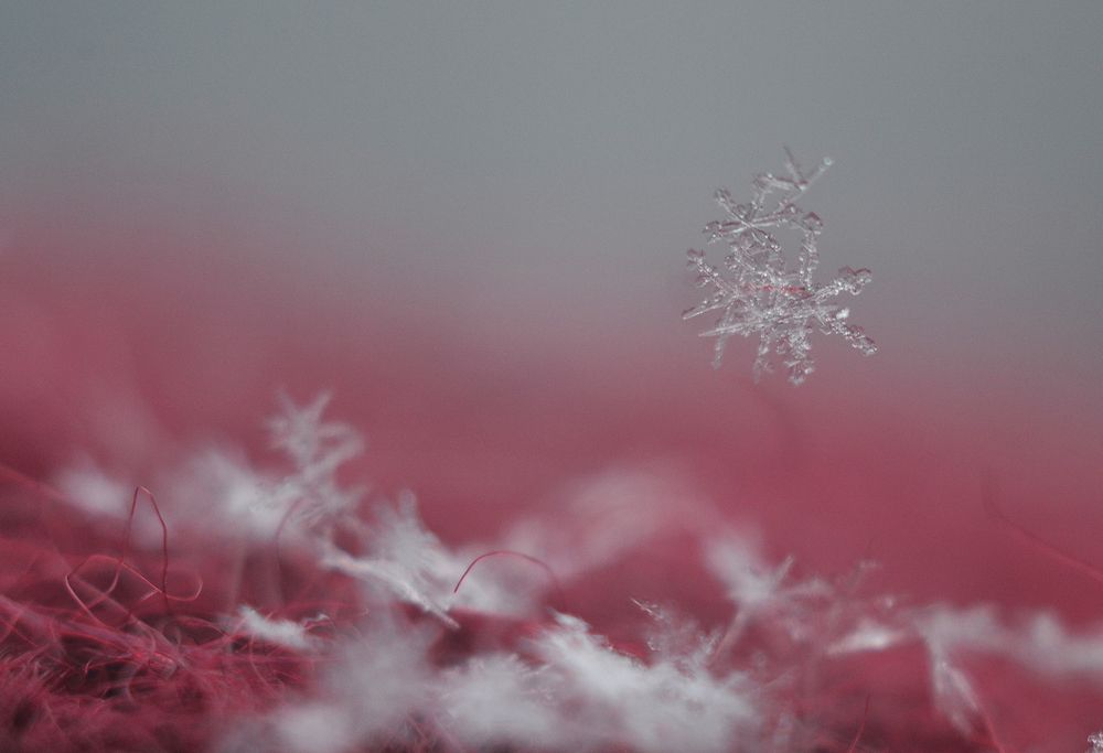 Photograph by Воинкова Ирина