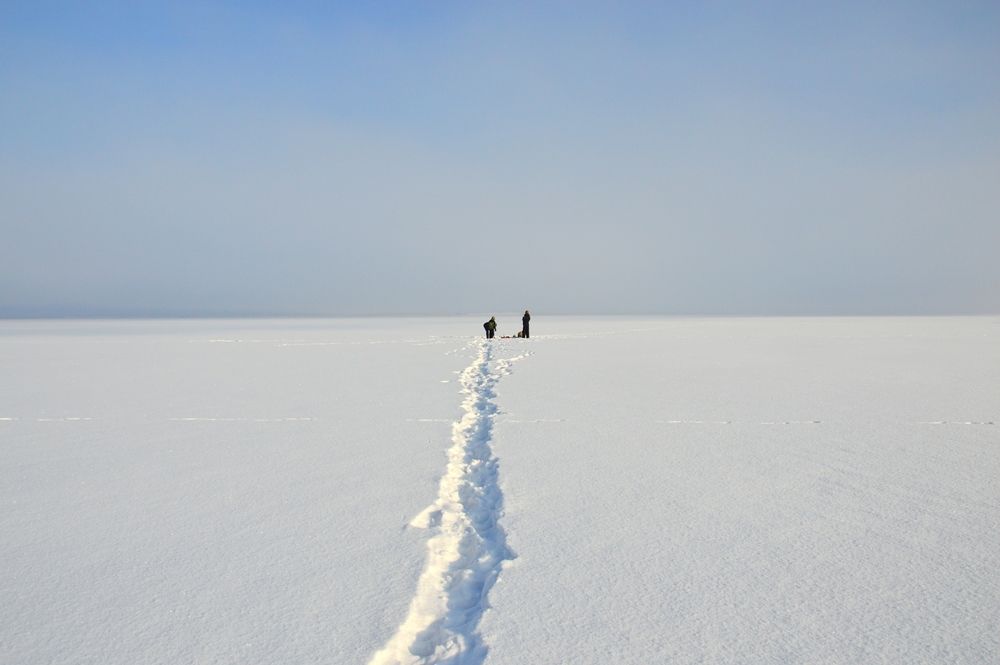 Зимнее... синее...