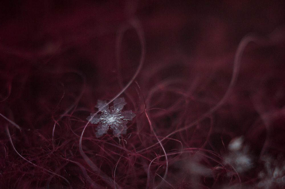 Photograph by Воинкова Ирина