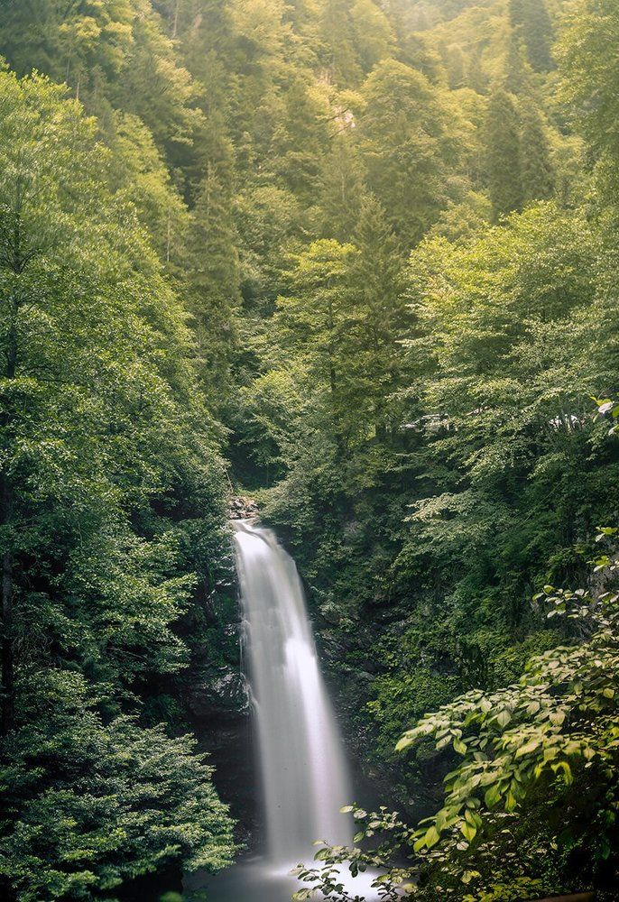 waterfall in forest