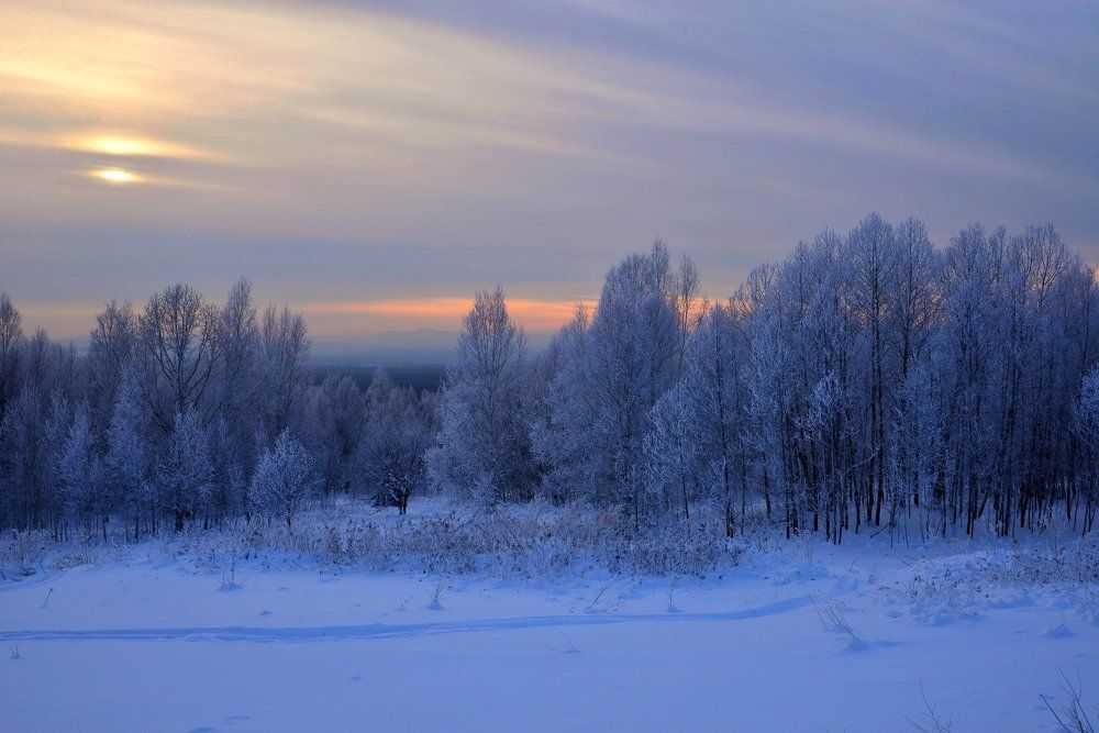 Розовый вечер