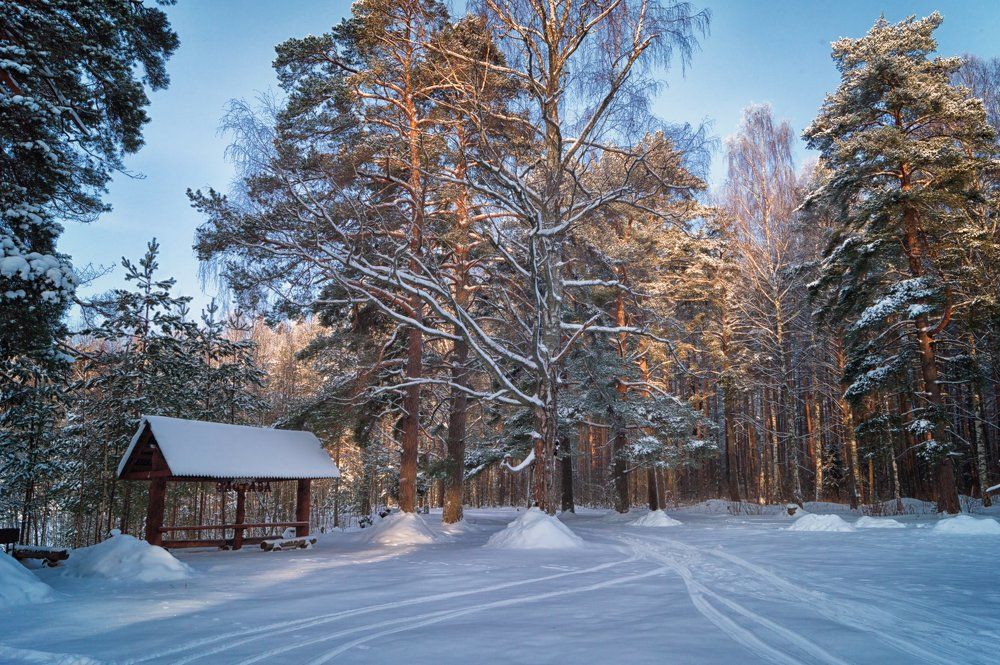 Photograph by Aleksandr