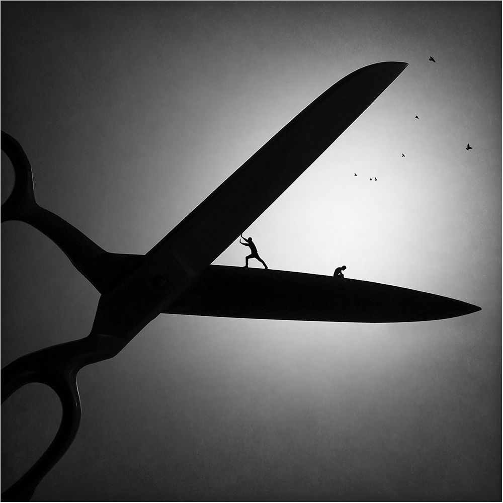 Волюнтаризм и фатализм