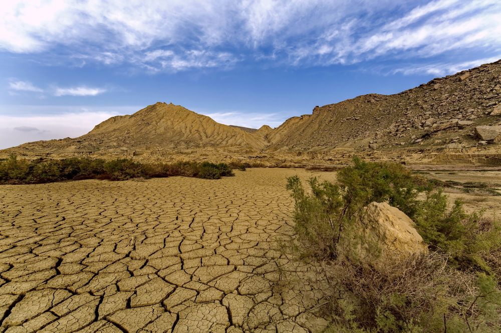 Бакинские уши .