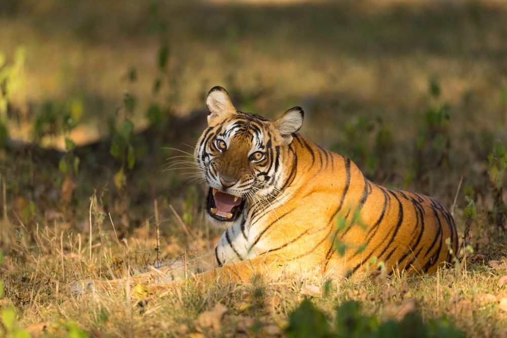 The QUEEN of backwaters!